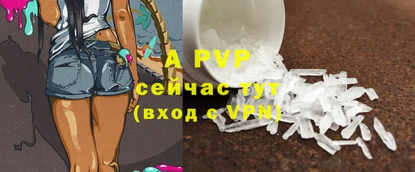 стаф Богородицк