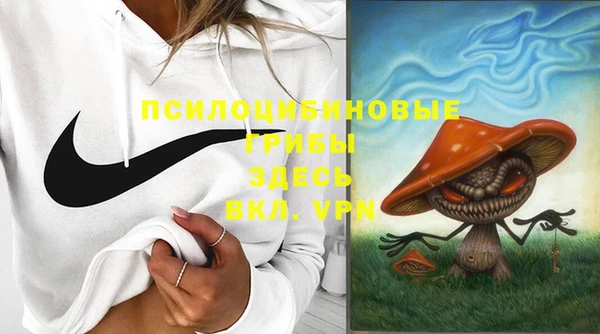 скорость Гусев