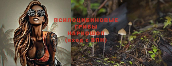 mdpv Богданович